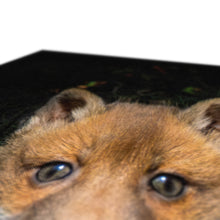 Load image into Gallery viewer, Fox Cubs Canvas