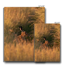 Load image into Gallery viewer, Harriet Canvas