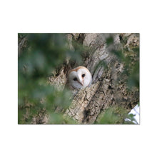 Load image into Gallery viewer, Hello Barn Owl Fine Art Print