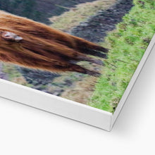 Load image into Gallery viewer, Raspberry Cow Canvas