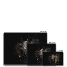 Load image into Gallery viewer, Looking in to your soul Canvas