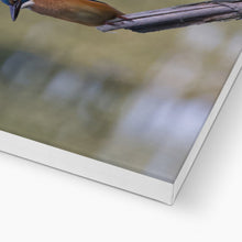Load image into Gallery viewer, Kingfisher Canvas