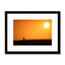 Load image into Gallery viewer, Sunset Tweet Framed & Mounted Print