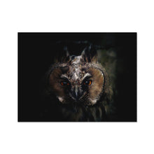 Load image into Gallery viewer, Looking in to your soul Fine Art Print