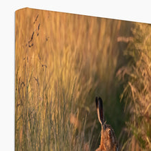 Load image into Gallery viewer, Harriet Canvas