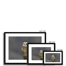 Load image into Gallery viewer, Short Eared Owl Framed & Mounted Print