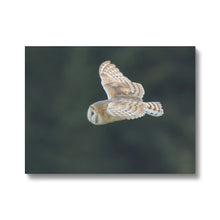 Load image into Gallery viewer, Barn Owl putting on a show Canvas