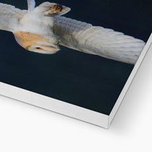 Load image into Gallery viewer, Barn Owl In The Dark Canvas