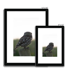 Load image into Gallery viewer, Little Owl Framed & Mounted Print