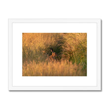 Load image into Gallery viewer, Harriet Framed & Mounted Print