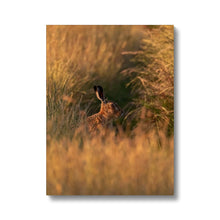 Load image into Gallery viewer, Harriet Canvas