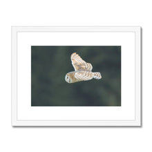 Load image into Gallery viewer, Barn Owl putting on a show Framed & Mounted Print