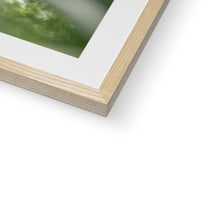 Load image into Gallery viewer, Foxy Framed & Mounted Print