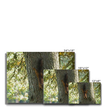 Load image into Gallery viewer, Mission Impossible Red Squirrel Canvas