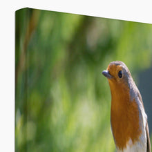 Load image into Gallery viewer, Jumping for Joy Canvas