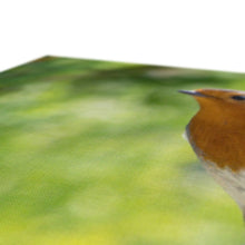 Load image into Gallery viewer, Jumping for Joy Canvas