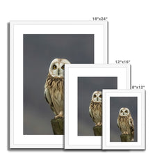 Load image into Gallery viewer, Short Eared Owl Framed & Mounted Print