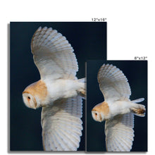 Load image into Gallery viewer, Barn Owl In The Dark Fine Art Print