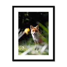 Load image into Gallery viewer, Foxy Framed & Mounted Print