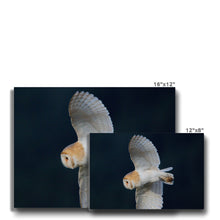 Load image into Gallery viewer, Barn Owl In The Dark Canvas