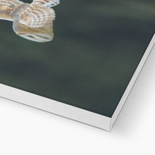 Load image into Gallery viewer, Barn Owl putting on a show Canvas