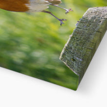 Load image into Gallery viewer, Jumping for Joy Canvas