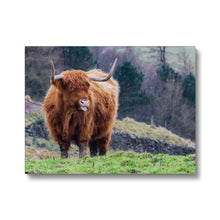 Load image into Gallery viewer, Raspberry Cow Canvas