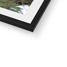 Load image into Gallery viewer, Hello Barn Owl Framed & Mounted Print