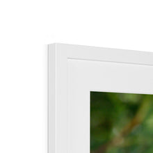 Load image into Gallery viewer, Jumping for Joy Framed & Mounted Print