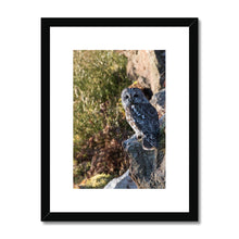 Load image into Gallery viewer, Tawny on the Rocks Framed & Mounted Print