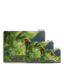 Load image into Gallery viewer, Jumping for Joy Canvas