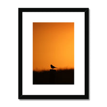 Load image into Gallery viewer, Sunset Tweet Framed & Mounted Print