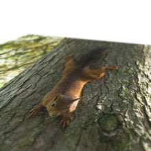 Load image into Gallery viewer, Mission Impossible Red Squirrel Canvas