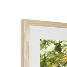 Load image into Gallery viewer, Mission Impossible Red Squirrel Framed & Mounted Print