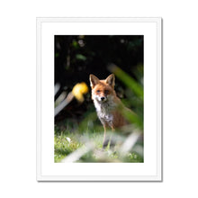 Load image into Gallery viewer, Foxy Framed & Mounted Print