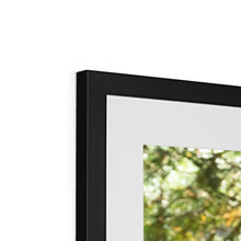 Load image into Gallery viewer, Mission Impossible Red Squirrel Framed & Mounted Print