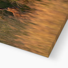 Load image into Gallery viewer, Harriet Canvas