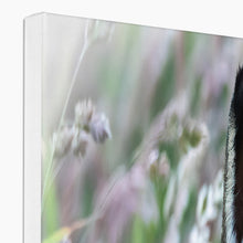 Load image into Gallery viewer, Magical Hare Canvas