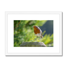 Load image into Gallery viewer, Jumping for Joy Framed & Mounted Print