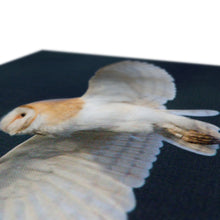 Load image into Gallery viewer, Barn Owl In The Dark Canvas
