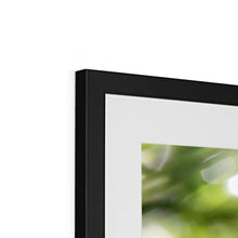 Load image into Gallery viewer, Long Eared Owl Framed & Mounted Print