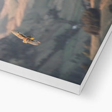 Load image into Gallery viewer, Barn Owl over the Peaks Canvas