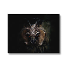 Load image into Gallery viewer, Looking in to your soul Canvas