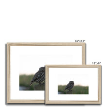 Load image into Gallery viewer, Little Owl Framed & Mounted Print