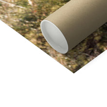 Load image into Gallery viewer, Tawny on the Rocks Fine Art Print