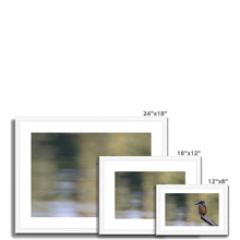 Load image into Gallery viewer, Kingfisher Framed & Mounted Print