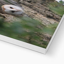 Load image into Gallery viewer, Hello Barn Owl Canvas