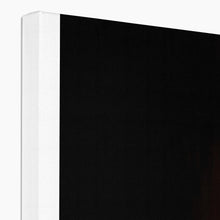 Load image into Gallery viewer, Hibou Canvas