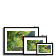 Load image into Gallery viewer, Jumping for Joy Framed & Mounted Print