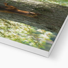 Load image into Gallery viewer, Mission Impossible Red Squirrel Canvas